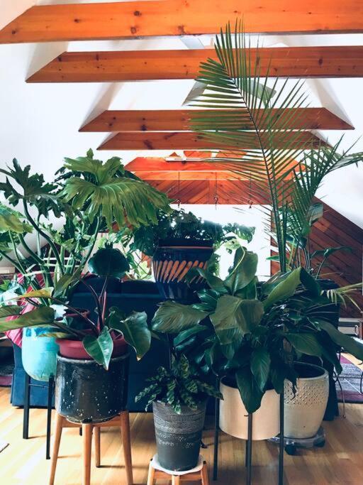 Urban Oasis In Hope Village 프로비던스 외부 사진